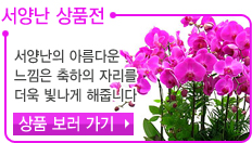 100������̰�