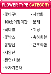 ������ī�װ���