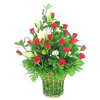 �󼼳��뺸��