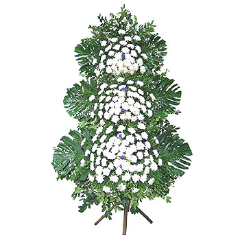 �󼼳��뺸��