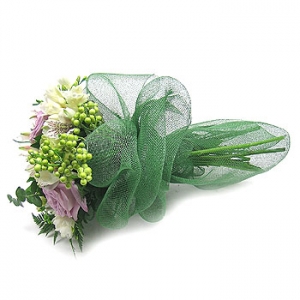 �󼼳��뺸��