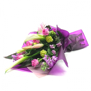 �󼼳��뺸��