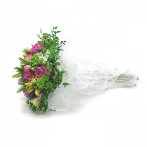 �󼼳��뺸��