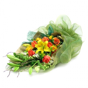 �󼼳��뺸��