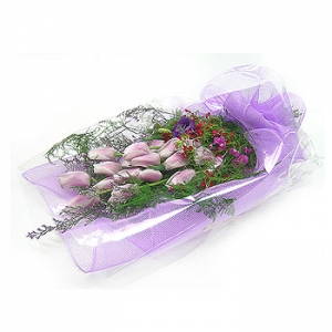 �󼼳��뺸��