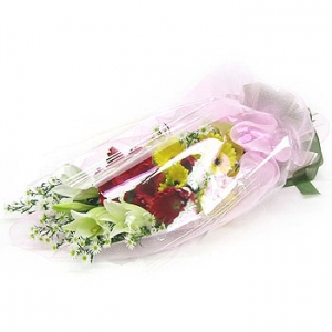 �󼼳��뺸��