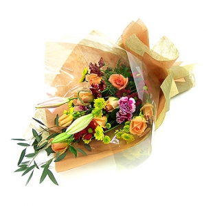 �󼼳��뺸��