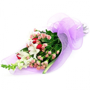 �󼼳��뺸��