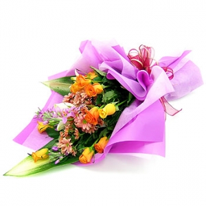 �󼼳��뺸��