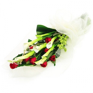 �󼼳��뺸��