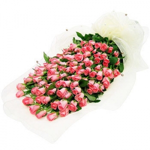 �󼼳��뺸��