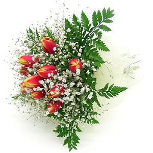 �󼼳��뺸��