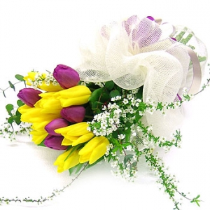 �󼼳��뺸��