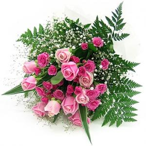 �󼼳��뺸��