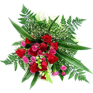 �󼼳��뺸��