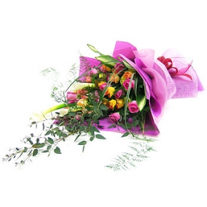 �󼼳��뺸��