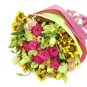 �󼼳��뺸��