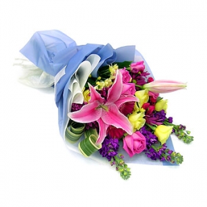 �󼼳��뺸��