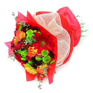 �󼼳��뺸��