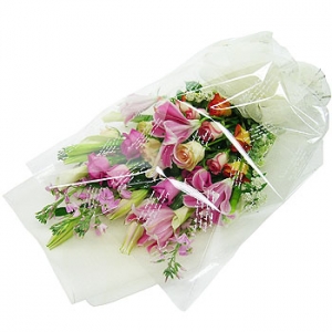 �󼼳��뺸��