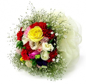 �󼼳��뺸��