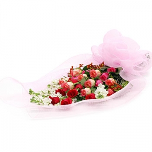 �󼼳��뺸��