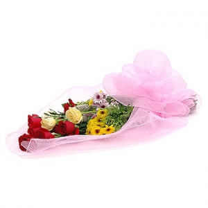 �󼼳��뺸��