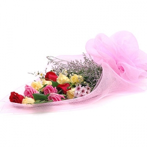 �󼼳��뺸��