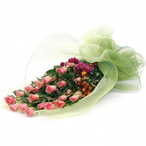 �󼼳��뺸��