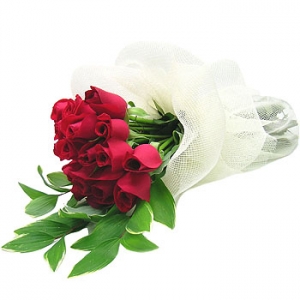 �󼼳��뺸��