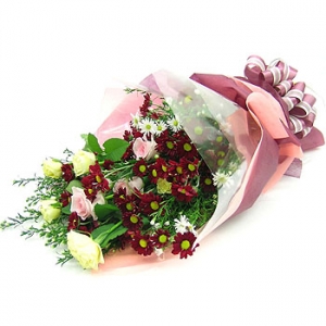 �󼼳��뺸��