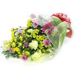 �󼼳��뺸��