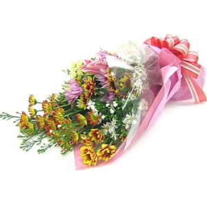 �󼼳��뺸��