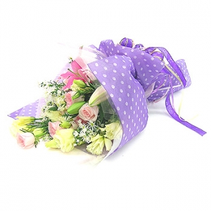 �󼼳��뺸��