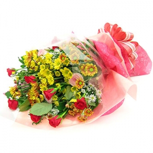 �󼼳��뺸��