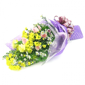 �󼼳��뺸��