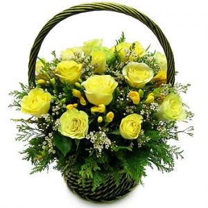 �󼼳��뺸��