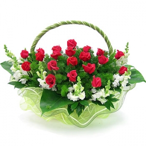 �󼼳��뺸��