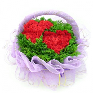 �󼼳��뺸��