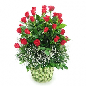 �󼼳��뺸��