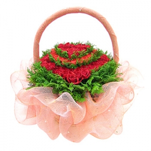 �󼼳��뺸��