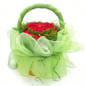 �󼼳��뺸��