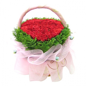 �󼼳��뺸��