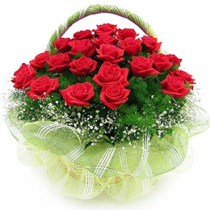 �󼼳��뺸��