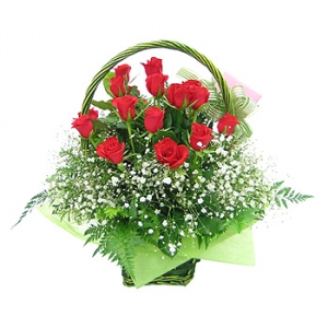 �󼼳��뺸��