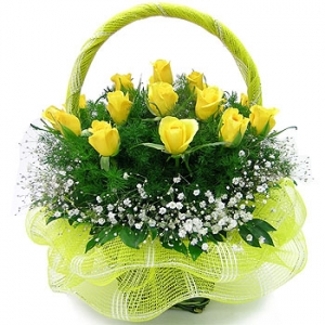 �󼼳��뺸��