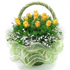 �󼼳��뺸��