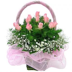 �󼼳��뺸��