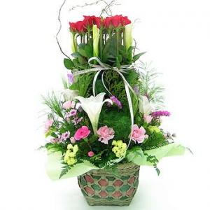 �󼼳��뺸��