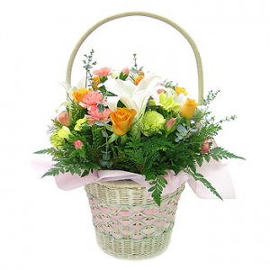 �󼼳��뺸��